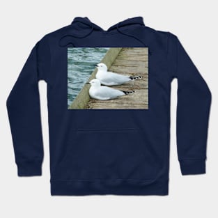 Your turn to test the water Hoodie